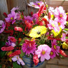 DSC06444.jpg