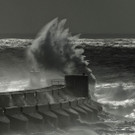 IBD0396-20131028.jpg