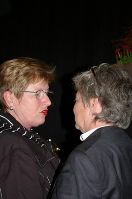 mini-bea_GemeinderatswahlenSatteins 035_jpg-1269289641