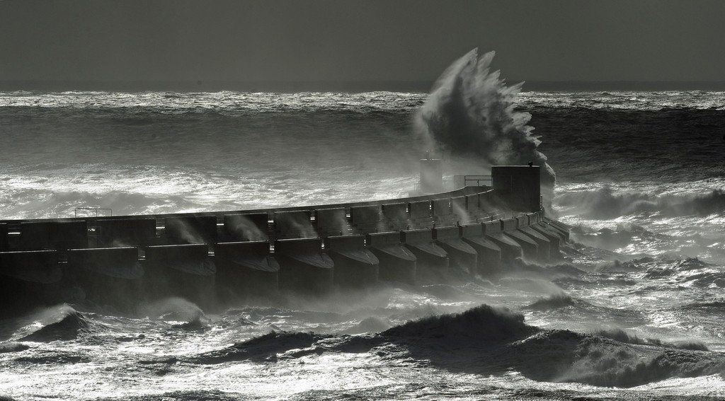 IBD0274-20131028.jpg