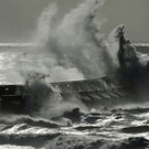 IBD0262-20131028.jpg