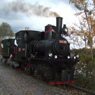 DSC04355.jpg