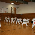 120 aktive Karatekas