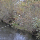 DSC_0019.jpg
