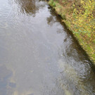 DSC_0024.jpg