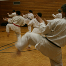 BK_200110 busy days 113.jpg