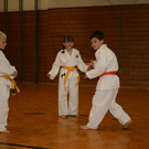 BK_220110 Shotokan Karate FK 004.jpg