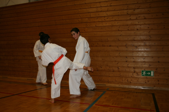 BK_220110 Shotokan Karate FK 006.jpg