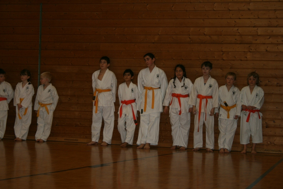BK_220110 Shotokan Karate FK 012.jpg