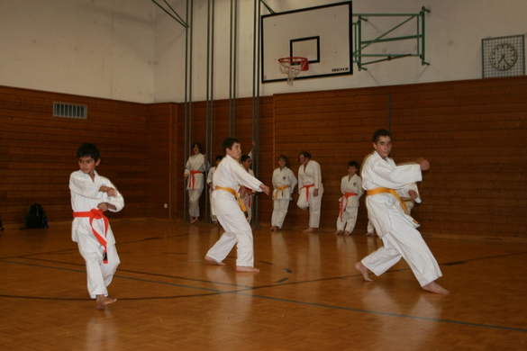 BK_220110 Shotokan Karate FK 017.jpg