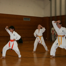 BK_220110 Shotokan Karate FK 018.jpg