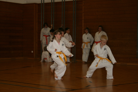 BK_220110 Shotokan Karate FK 019.jpg