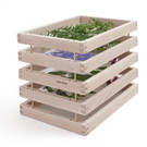 Kr__utertrockner_gef__llt_EEA0526_web.jpg