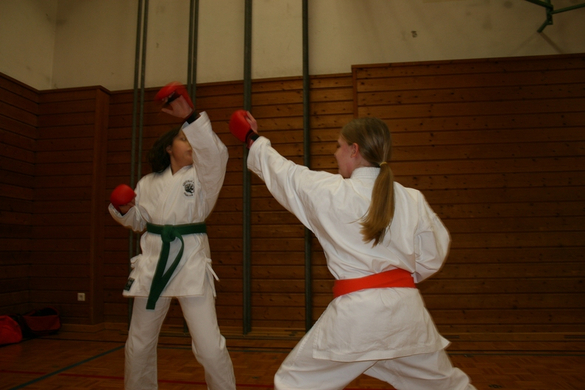 BK_220110 Shotokan Karate FK 077.jpg