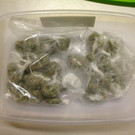 Kontrolle in Wien-Landstraße: Cannbis gefunden