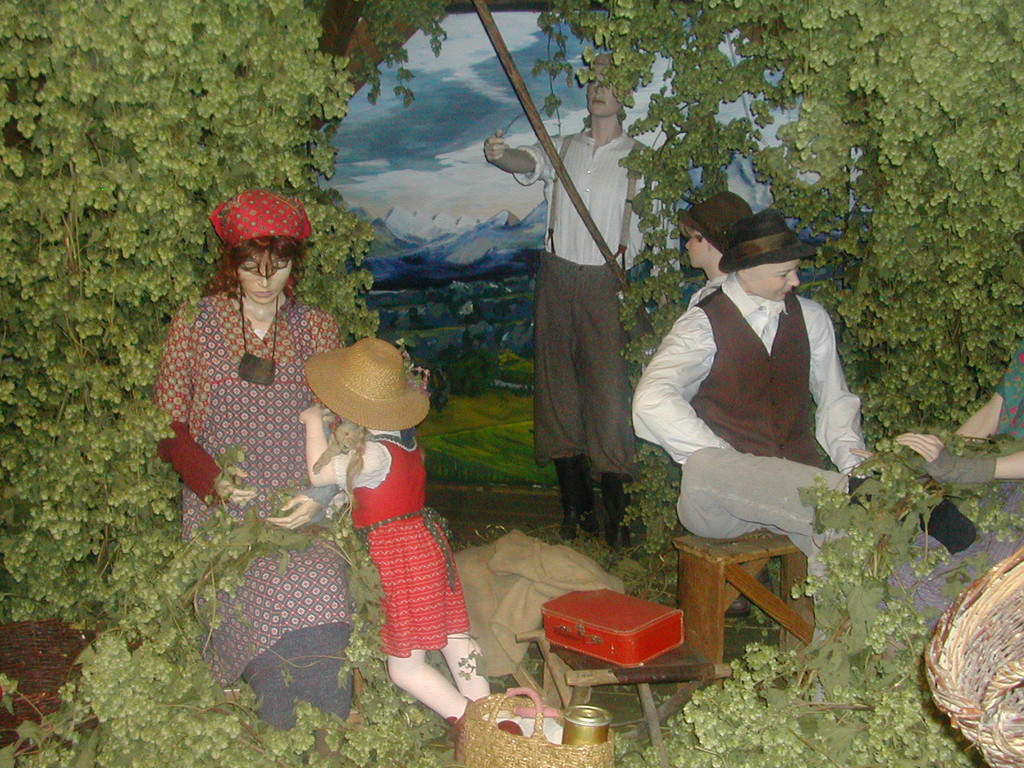 hopfenmuseum-2013-025_1_.jpg