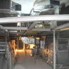 DSCN0199.JPG