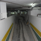 DSCN0100.JPG
