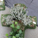 30102013allerheiligenat07003_0023.JPG