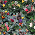 30102013allerheiligenat07003_0027.JPG