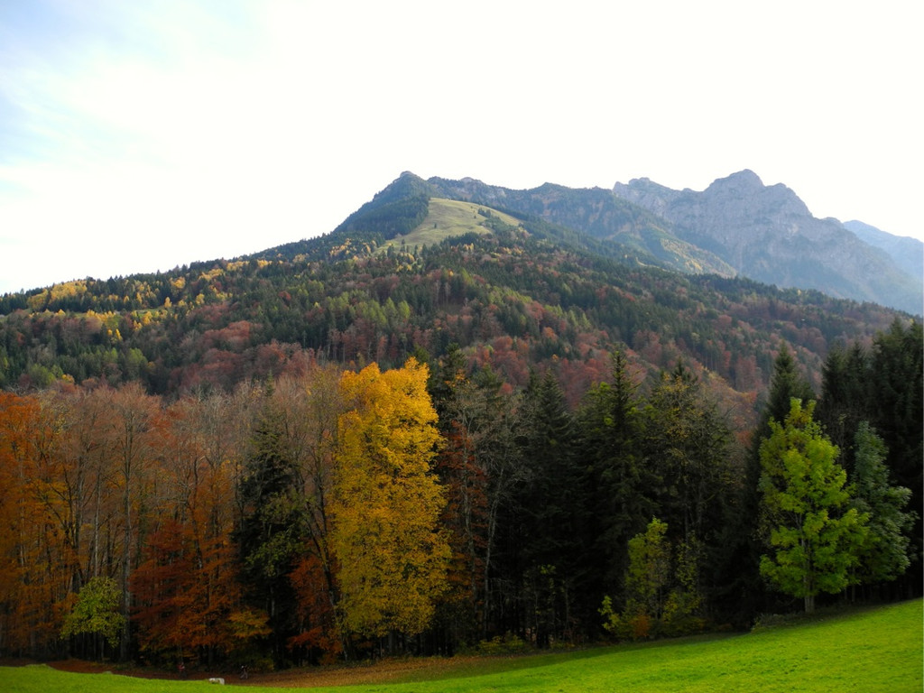KOE_Wanderung ins Saminatal 9.jpg