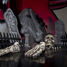 normal_31102013fmt_halloween_redbull_mw-30.jpg