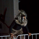 normal_31102013fmt_halloween_redbull_mw-31.jpg