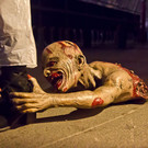 normal_31102013fmt_halloween_redbull_mw-40.jpg