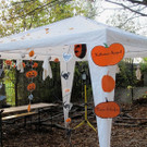 31102013zoode01007aktivnews_07.JPG