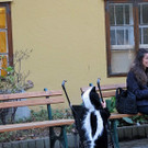 31102013zoode01007aktivnews_12.JPG
