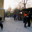 31102013zoode01007aktivnews_13.JPG