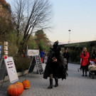 31102013zoode01007aktivnews_17.JPG