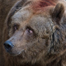 ABD0026-20131031.jpg