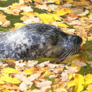 ABD0218-20131030.jpg