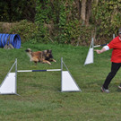 DSC_0670.jpg