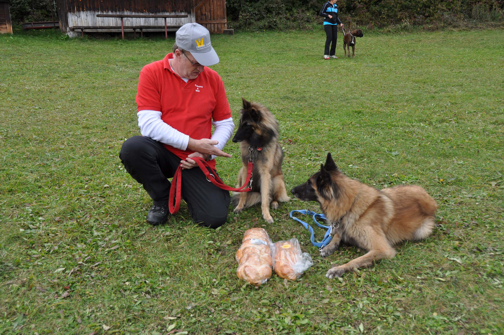 DSC_0789.jpg