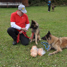 DSC_0789.jpg