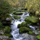31102013hallooweenat07003_016.JPG