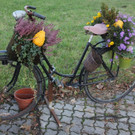 31102013hallooweenat07003_021.JPG