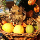 31102013hallooweenat07003_025.JPG
