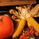 31102013hallooweenat07003_027.JPG
