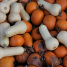 31102013hallooweenat07003_038.JPG
