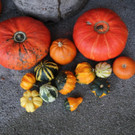 31102013hallooweenat07003_046.JPG