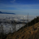 Nebelmeer am Gaisberg