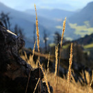 01112013wetterde01001aktivnews_014.JPG