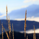 01112013wetterde01001aktivnews_015.JPG