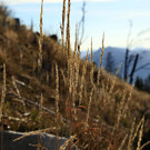 01112013wetterde01001aktivnews_016.JPG
