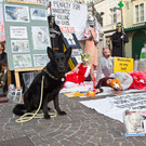 normal_20131102fmt_respekTiere_aktion_mw-14.jpg
