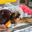 normal_20131102fmt_respekTiere_aktion_mw-27.jpg