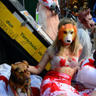 02112013hundeat005_009aktivnews00501.jpg